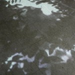 http://32.lightizm.com/files/gimgs/th-76_71_Nostalgia1_v2.jpg